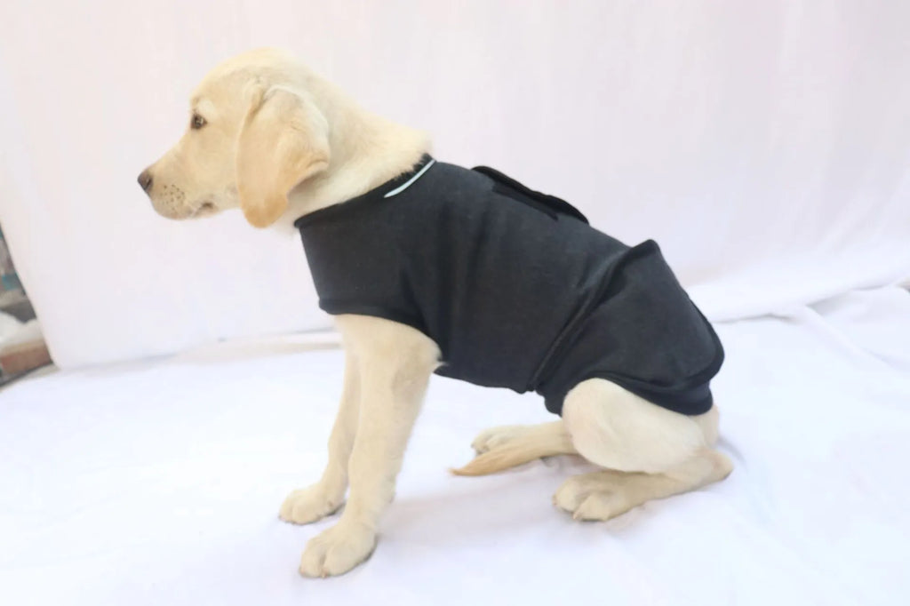 Pet Calming Anxiety Vest