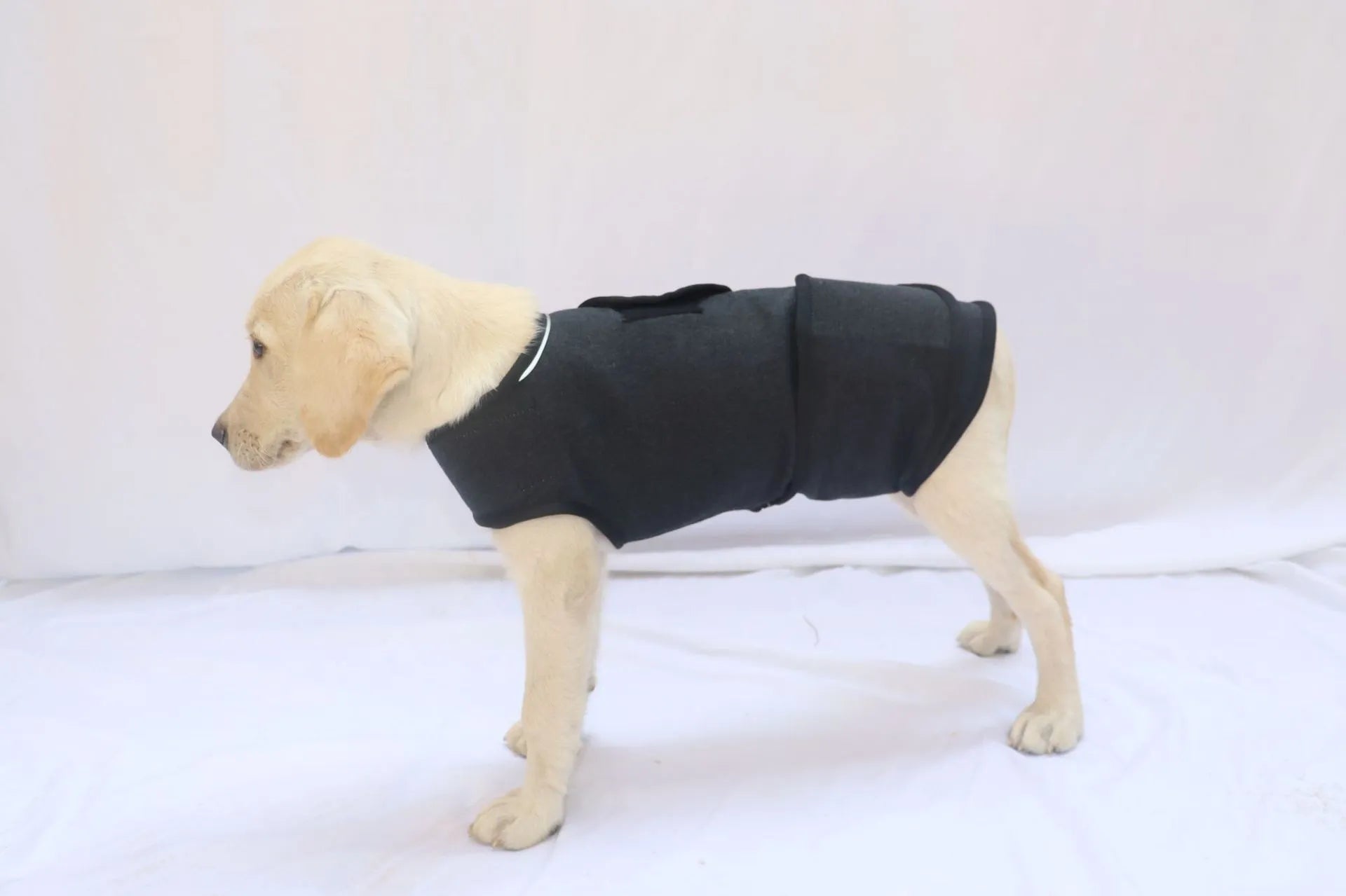 Pet Calming Anxiety Vest