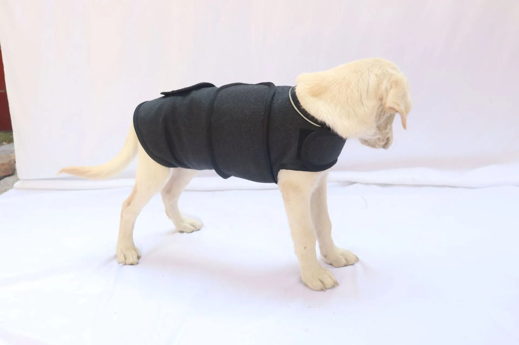 Pet Calming Anxiety Vest