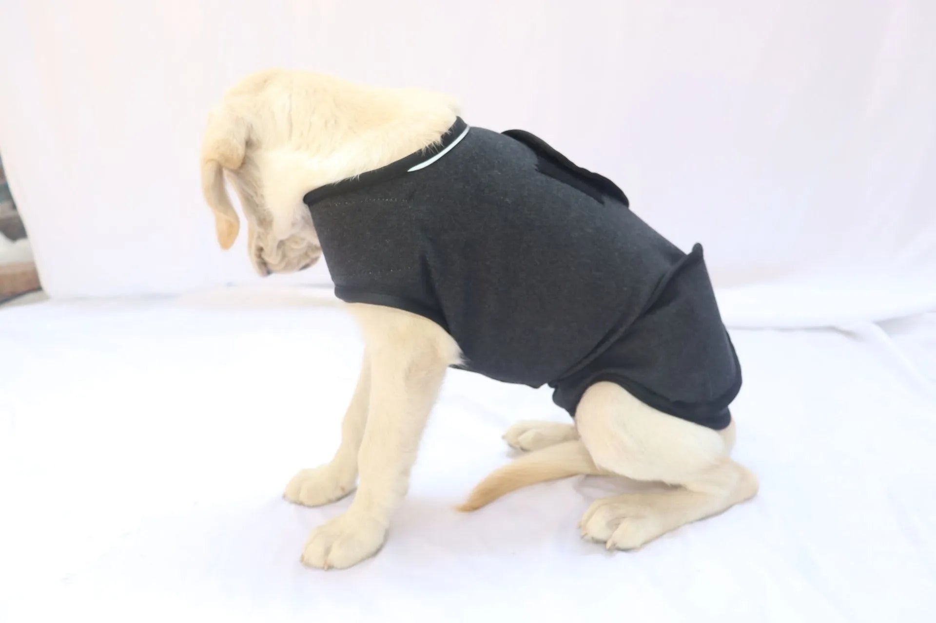 Pet Calming Anxiety Vest